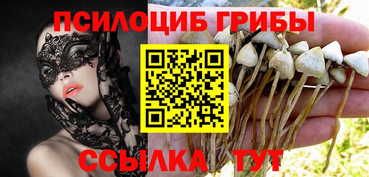 Галлюциногенные грибы мицелий Богданович