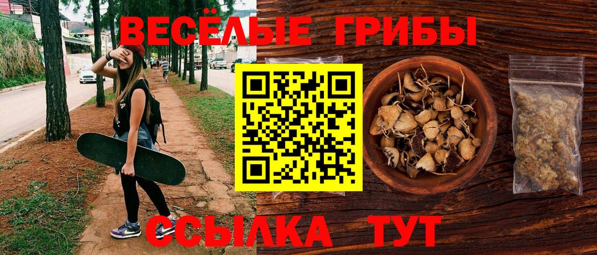 Галлюциногенные грибы GOLDEN TEACHER  Вход с VPN  наркошоп  Богданович 